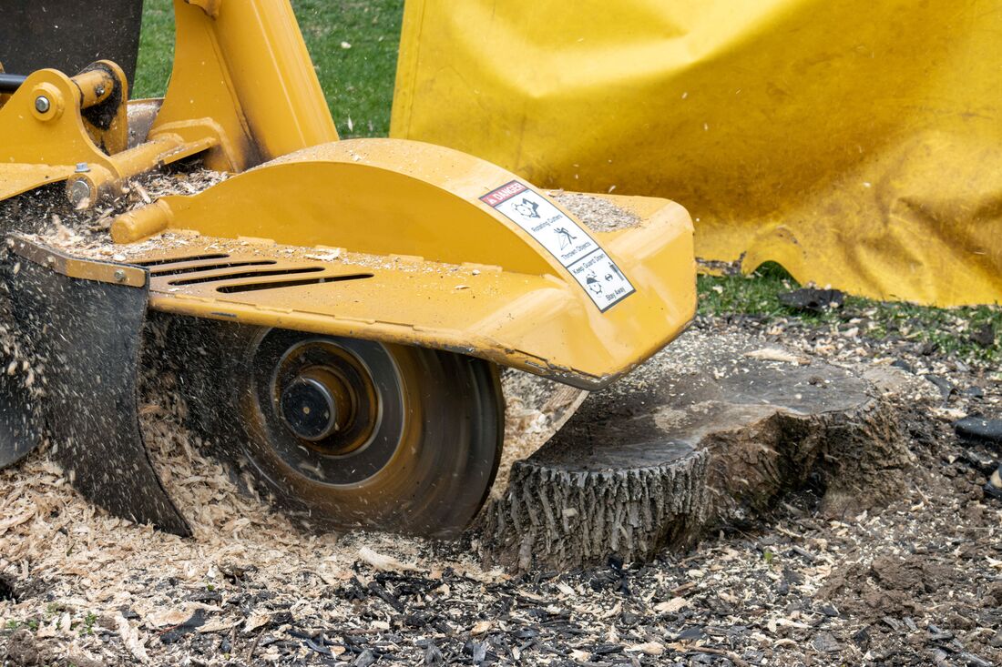 An image of Stump Grinding/Removal in Azusa CA